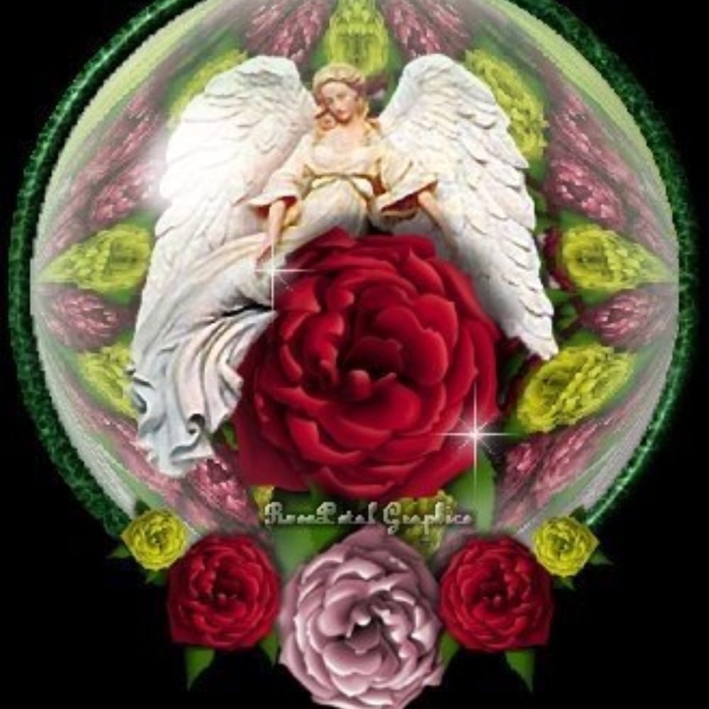 Meet your Posher, Adeline